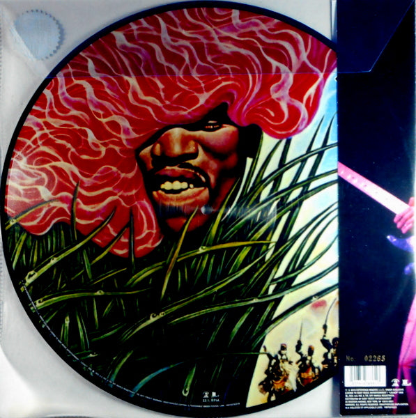 merry christmas and happy new year - pic disc